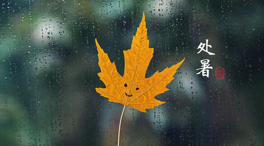今日處暑，暑去涼來