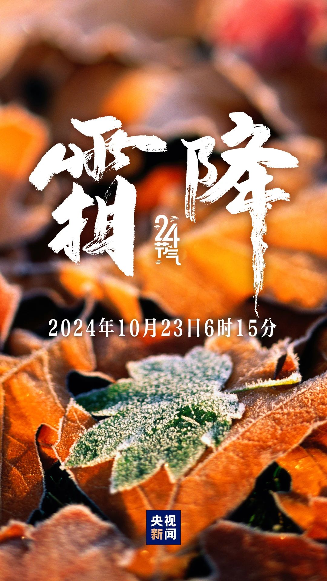 秋季最后一個(gè)節(jié)氣，來(lái)了