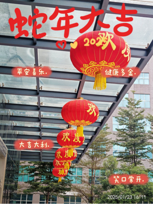 靈蛇舞動迎新春，喜氣洋洋滿乾坤